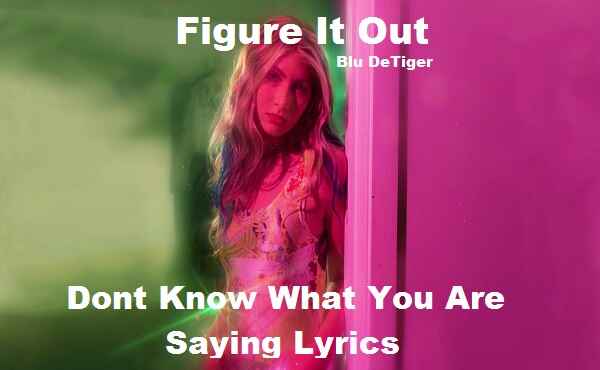 Dont Know What You Are Saying Lyrics