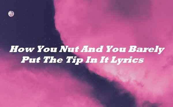 How You Nut And You Barely Put The Tip In It Lyrics