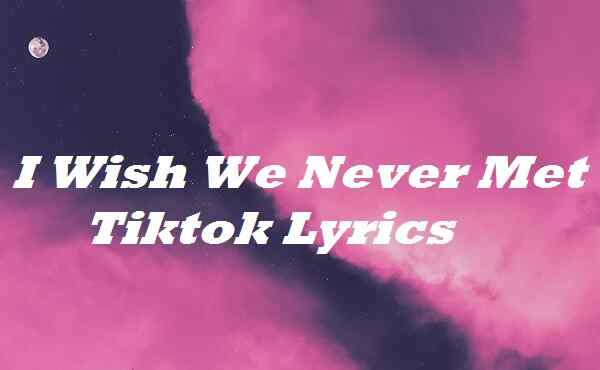 I Wish We Never Met Tiktok Lyrics