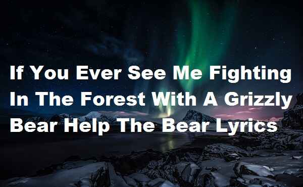 If You Ever See Me Fighting In The Forest With A Grizzly Bear Help The Bear Lyrics