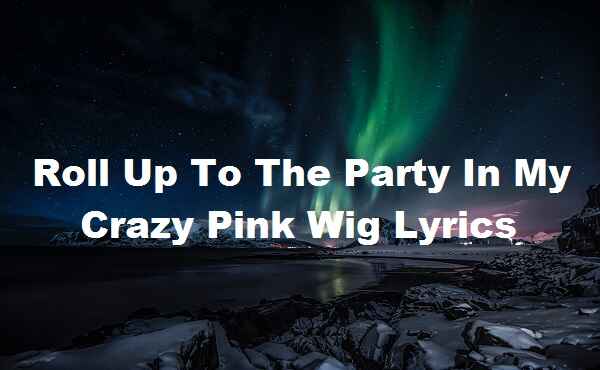 Roll Up To The Party In My Crazy Pink Wig Lyrics