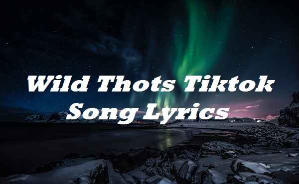 Wild Thots Tiktok Song Lyrics