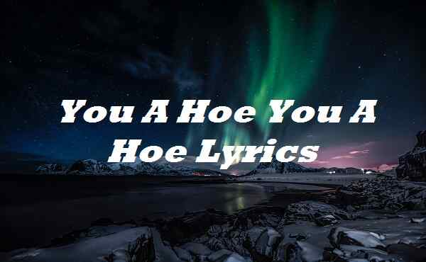 You A Hoe You A Hoe Lyrics