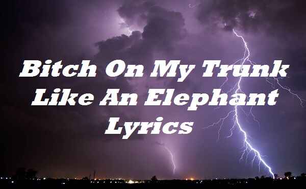 Bitch On My Trunk Like An Elephant Lyrics