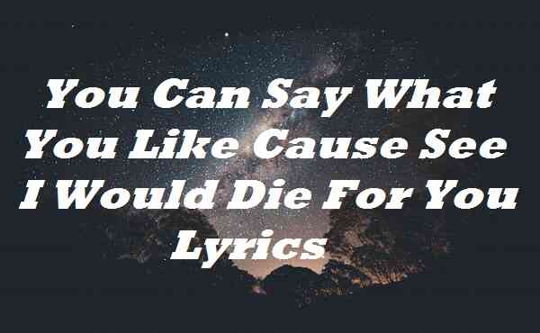 You Can Say What You Like Cause See I Would Die For You Lyrics