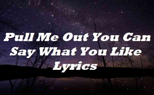 Pull Me Out You Can Say What You Like Lyrics