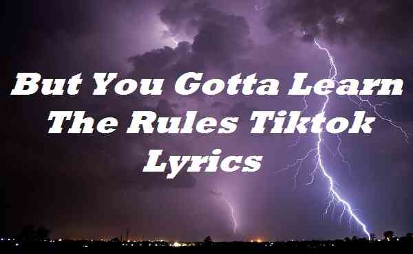 But You Gotta Learn The Rules Tiktok Lyrics