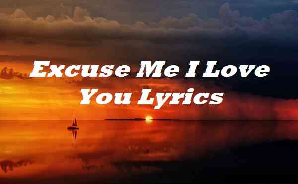 Excuse Me I Love You Lyrics