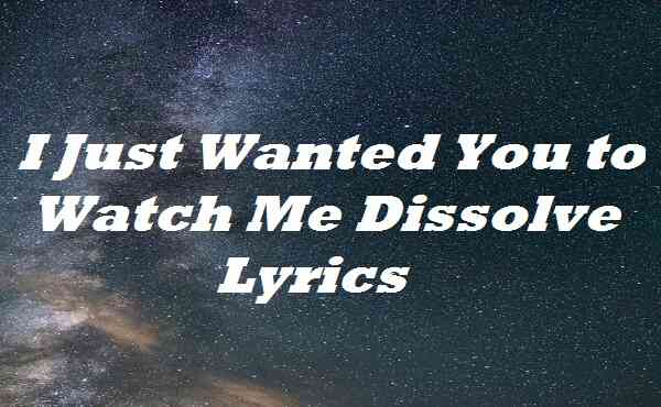 I Just Wanted You to Watch Me Dissolve Lyrics