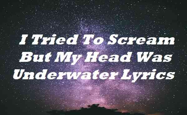 I Tried To Scream But My Head Was Underwater Lyrics