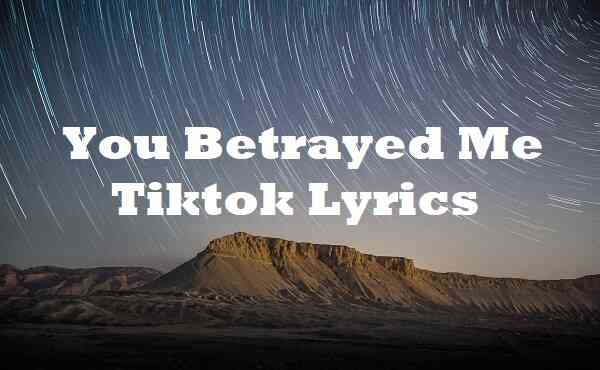 You Betrayed Me Tiktok Lyrics