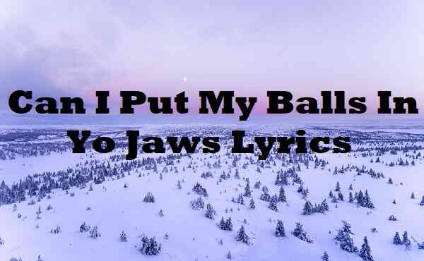 Can i put my balls in yo jaws lyrics