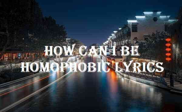 How Can I Be Homophobic Lyrics