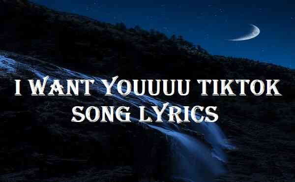 I Want Youuuu Tiktok Song Lyrics