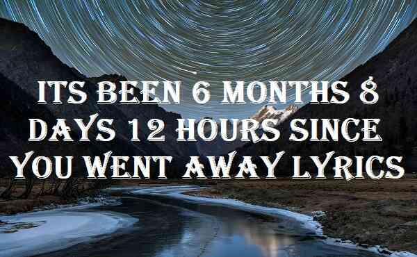 Its Been 6 Months 8 Days 12 Hours Since You Went Away Lyrics