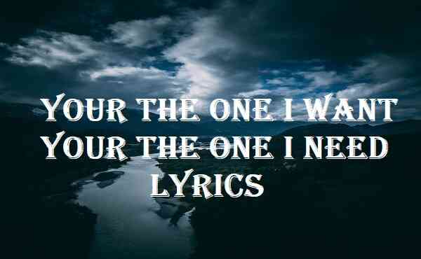 Your The One I Want Your The One I Need Lyrics